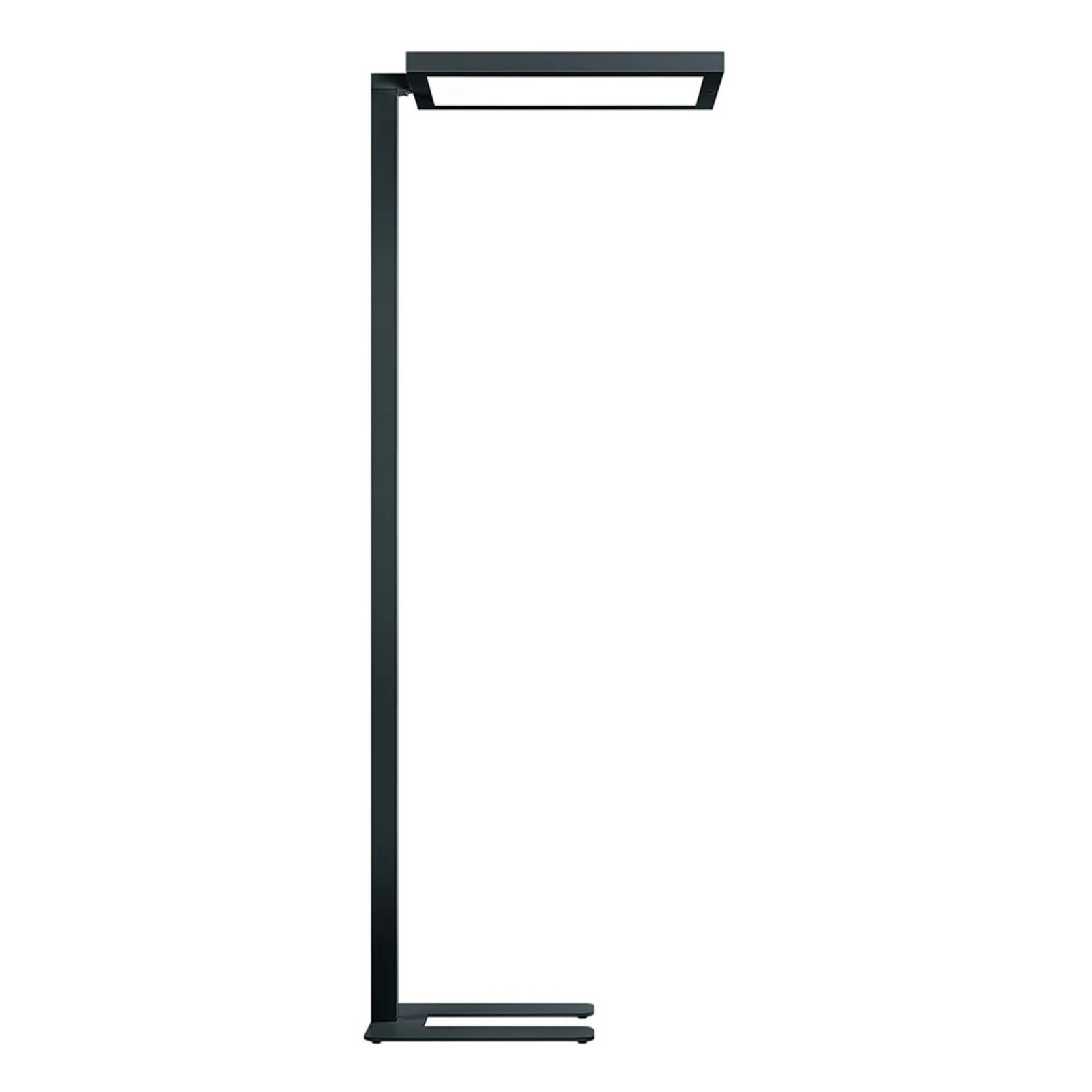 Zumtobel Epuria Stehlampe SensControl 940 schwarz