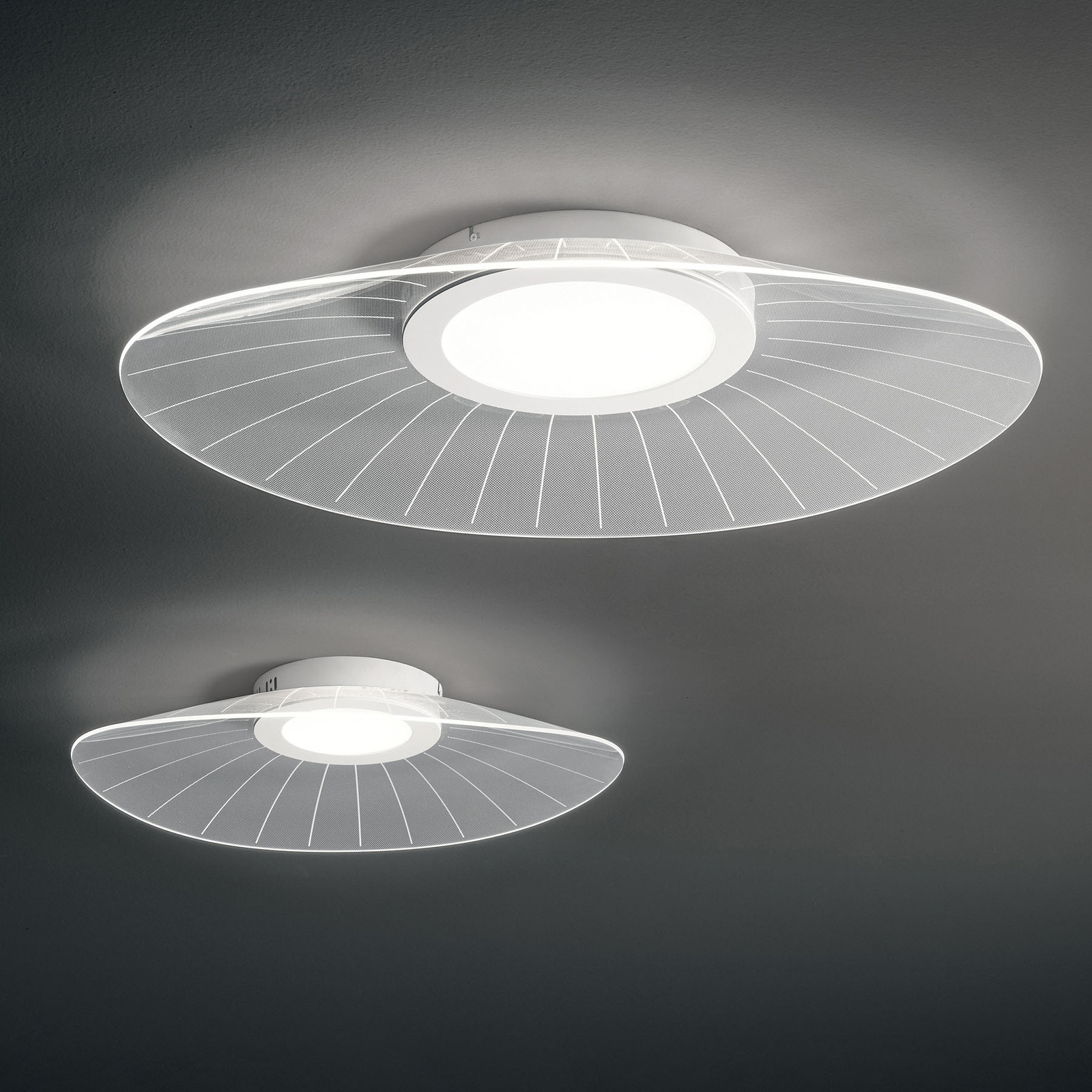 LED ceiling light Vela, white, dimmer