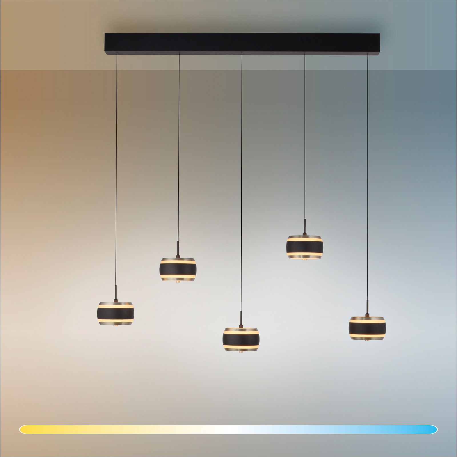 PURE LED-Hängelampe Falling Rings schwarz Länge 101 cm 5-fl.