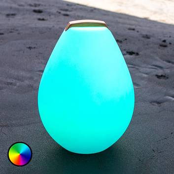 LED sfeerlamp Vessel 2S met houten greep