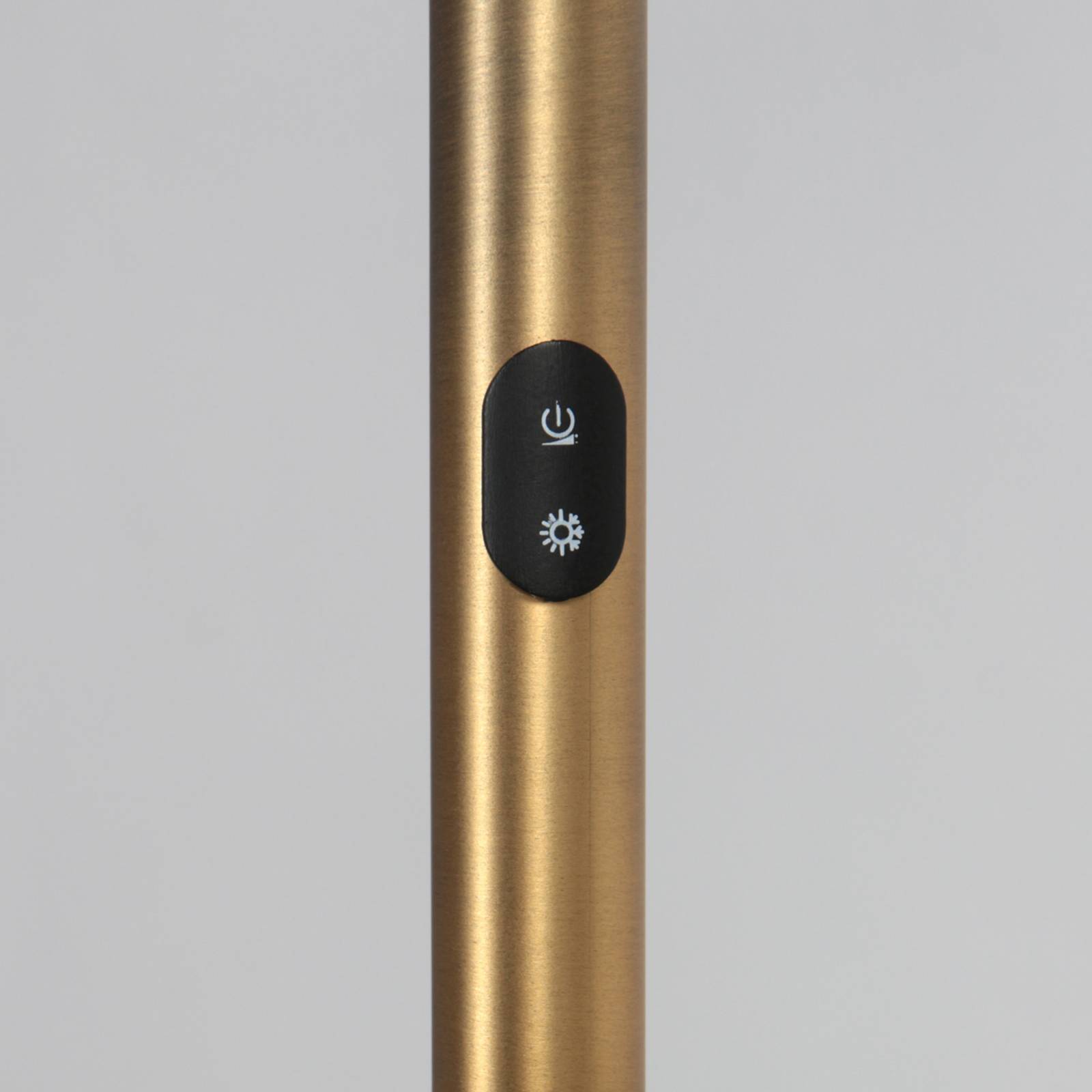 Lampa stojąca LED Daphne 2, 1-punktowa, brązowa, CCT, pilot