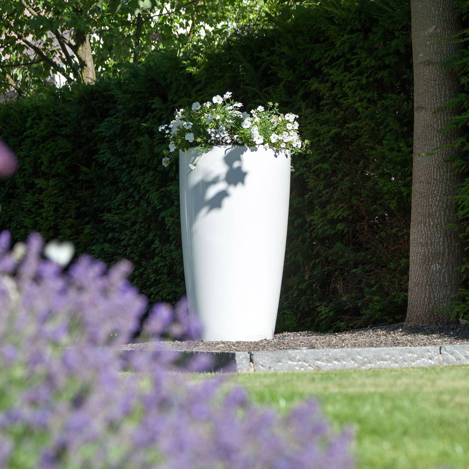 Image of Lampe Rovio III pour plantes, RGB blanc 