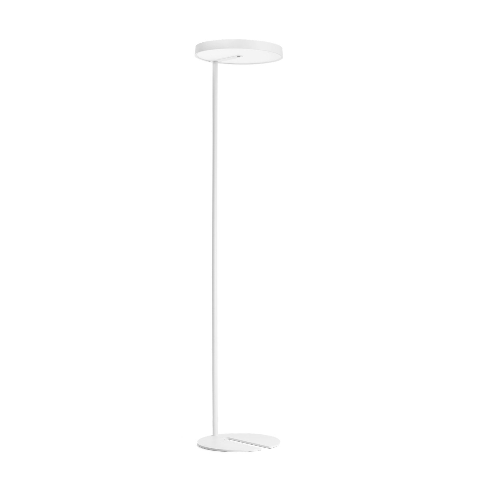 XAL Sonic floor lamp Sensor 4000K decentralised sym.