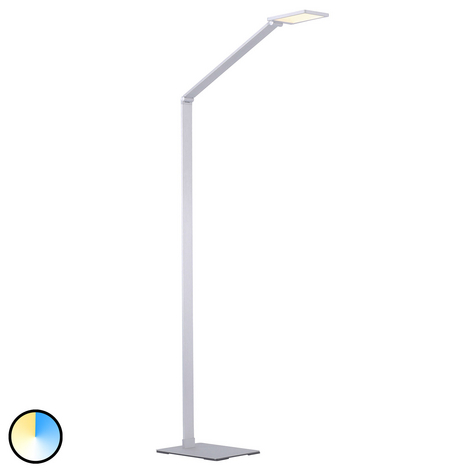 Paul Neuhaus Q-HANNES LED-Stehleuchte