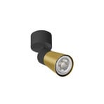 SLV Deckenlampe Puri 2.0 Cone, schwarz/goldfarben, Ø 5 cm