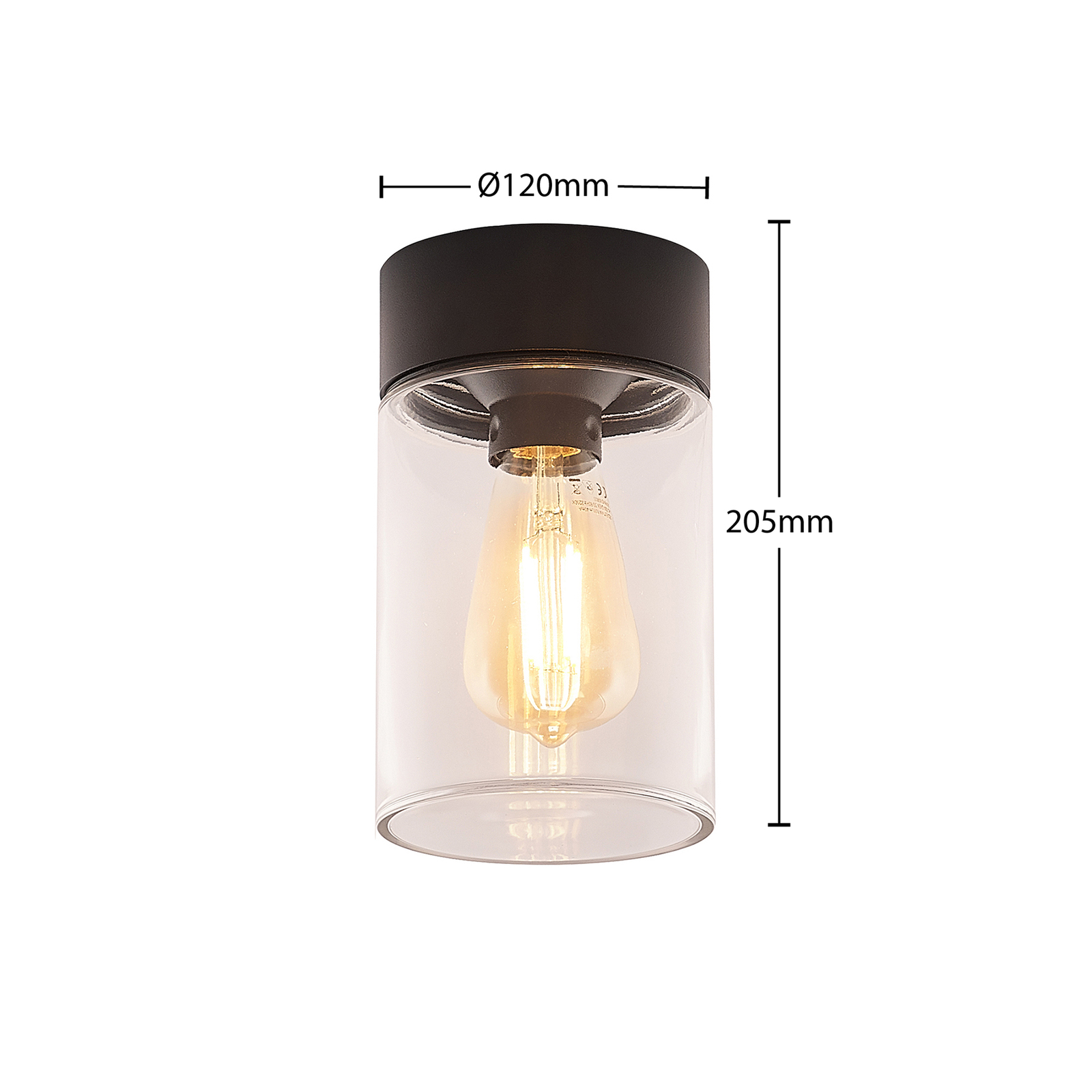 Liljana Buiten Plafondlamp IP65 Black - Arcchio