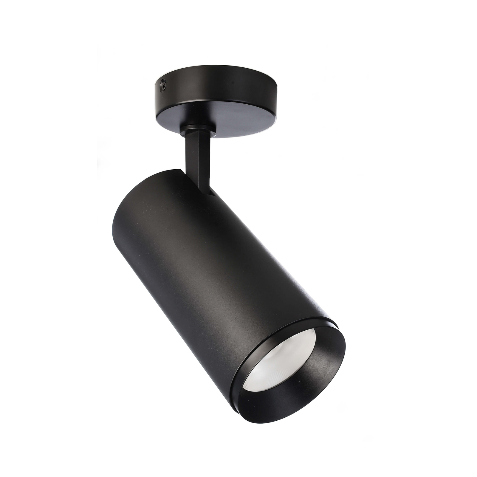LED-Deckenstrahler Lucea, justierbar, 30 W schwarz