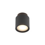 Walisa Stropní Lampa Black/Frosted - Arcchio