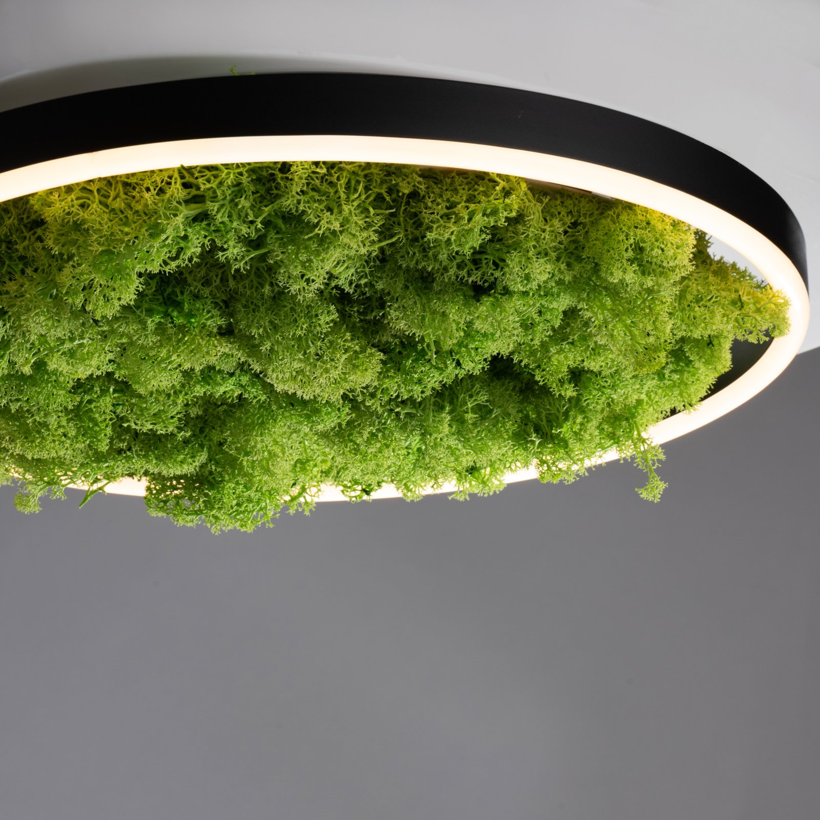 LED mennyezeti lámpa Zöld Ritus, moha, fényerőszabályozható Ø39.3cm