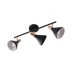Arina 3 Ceiling Lamp Black - Lindby