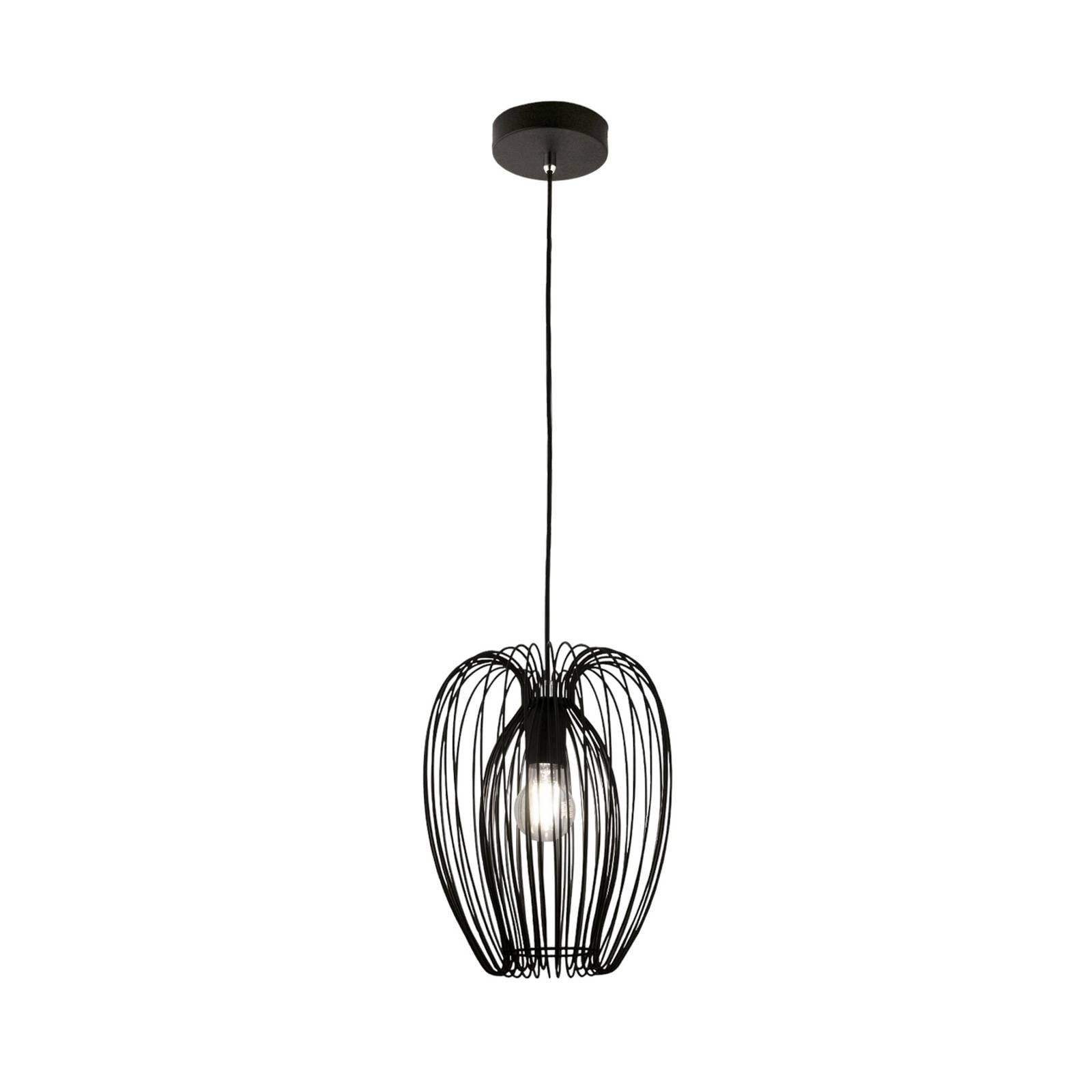 Hängeleuchte Camp, Ø 25 cm, schwarz, Drahtkorb