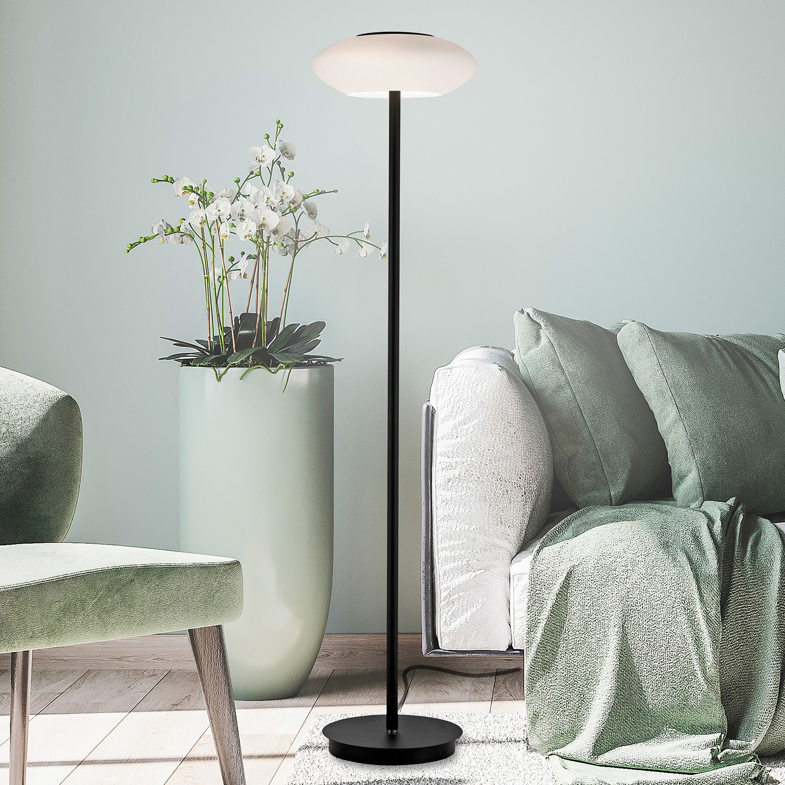 Paul Neuhaus Q-ETIENNE LED floor lamp, CCT