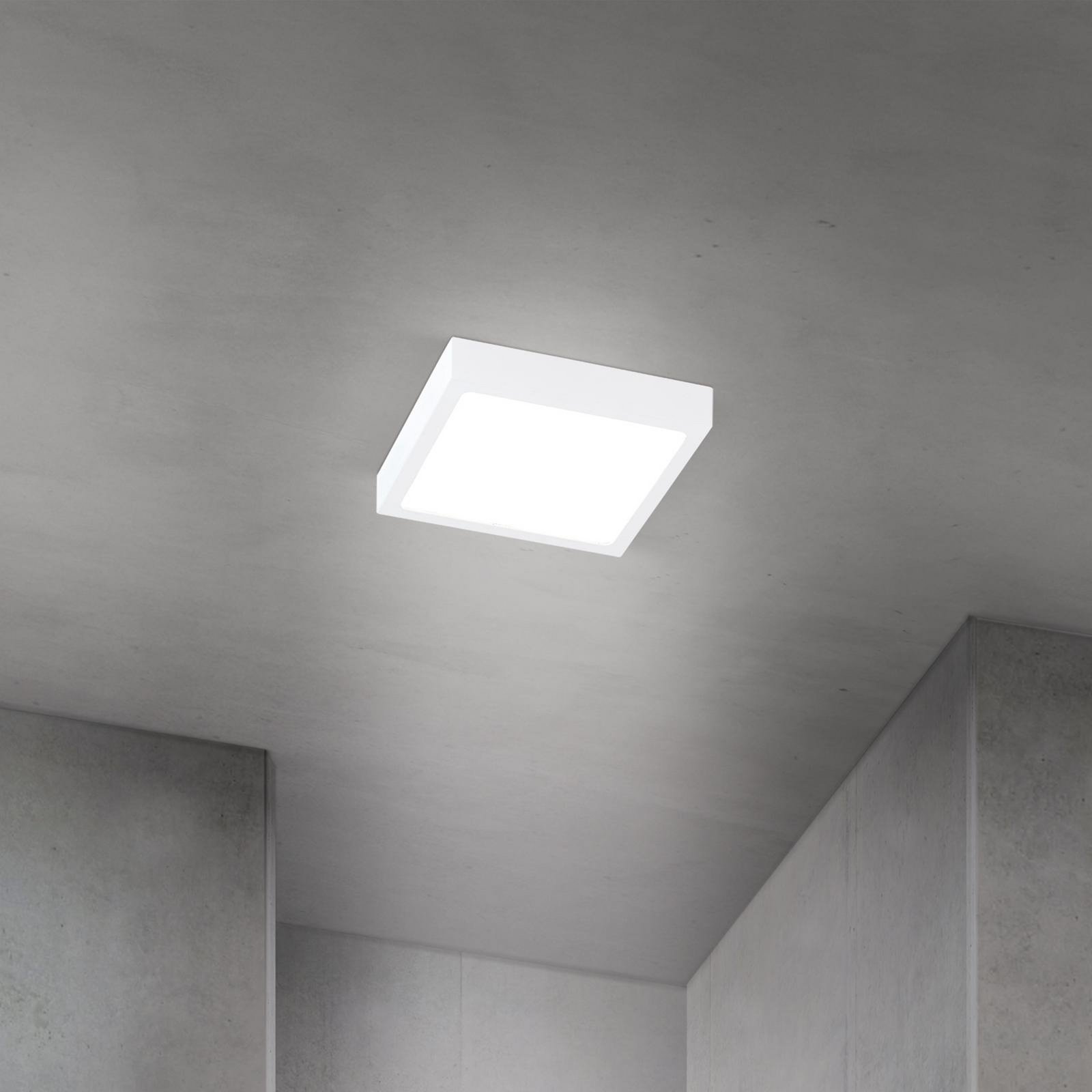 LED ceiling lamp Disc, white, length 14 cm, CCT, metal