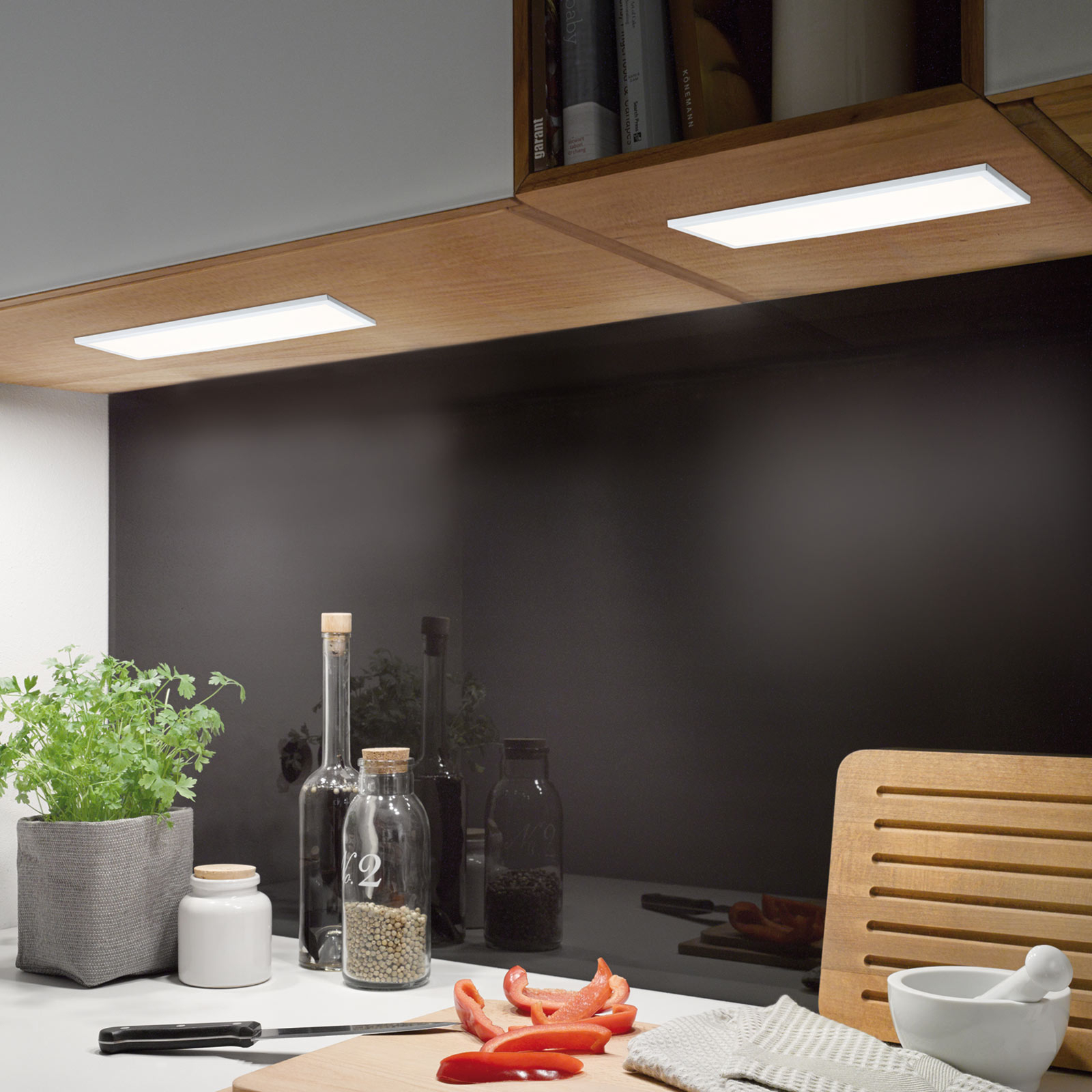 Paulmann Ace LED under-cabinet light, extension