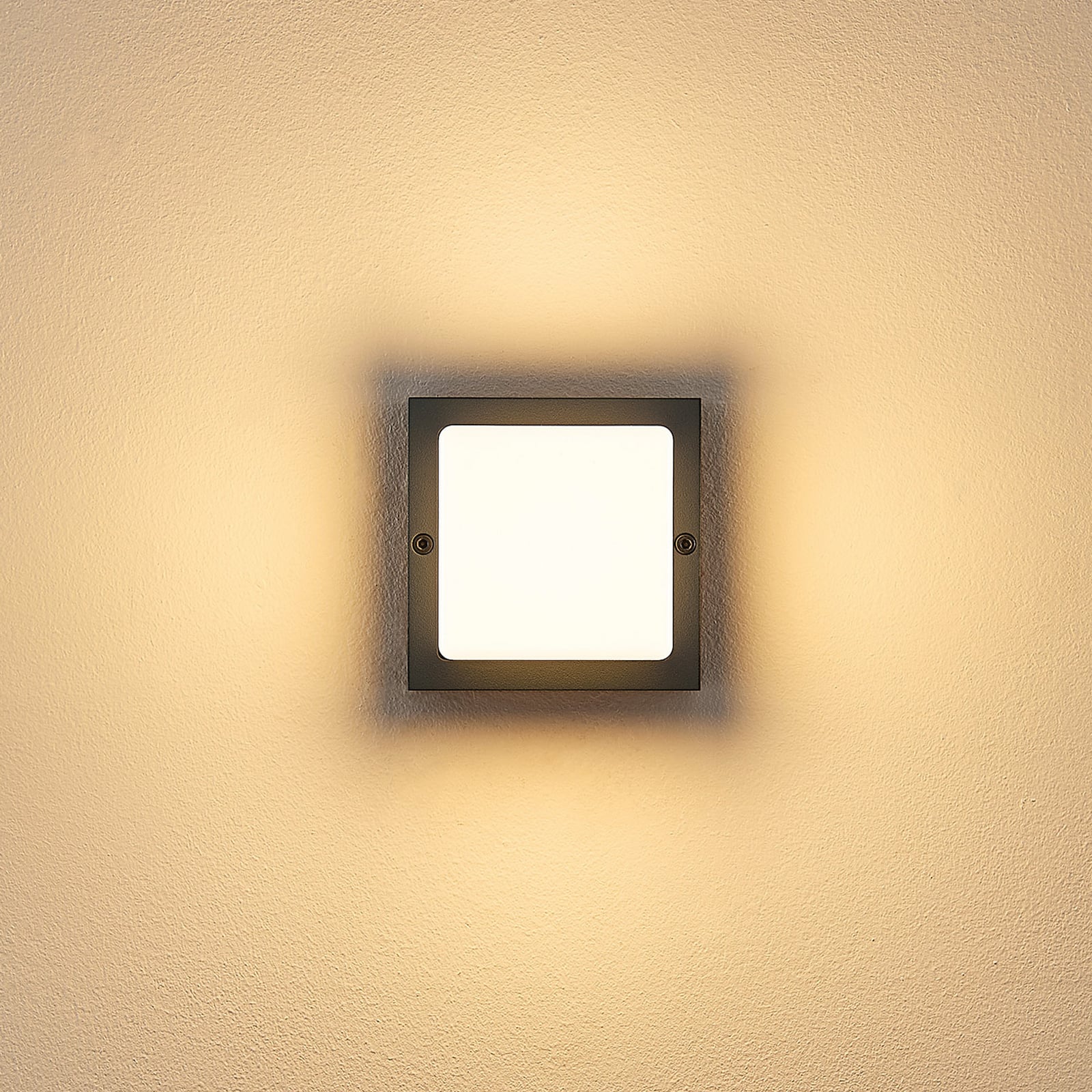 Applique d'extérieur LED FYNN-O, anthracite, 11 cm, IP65, CCT