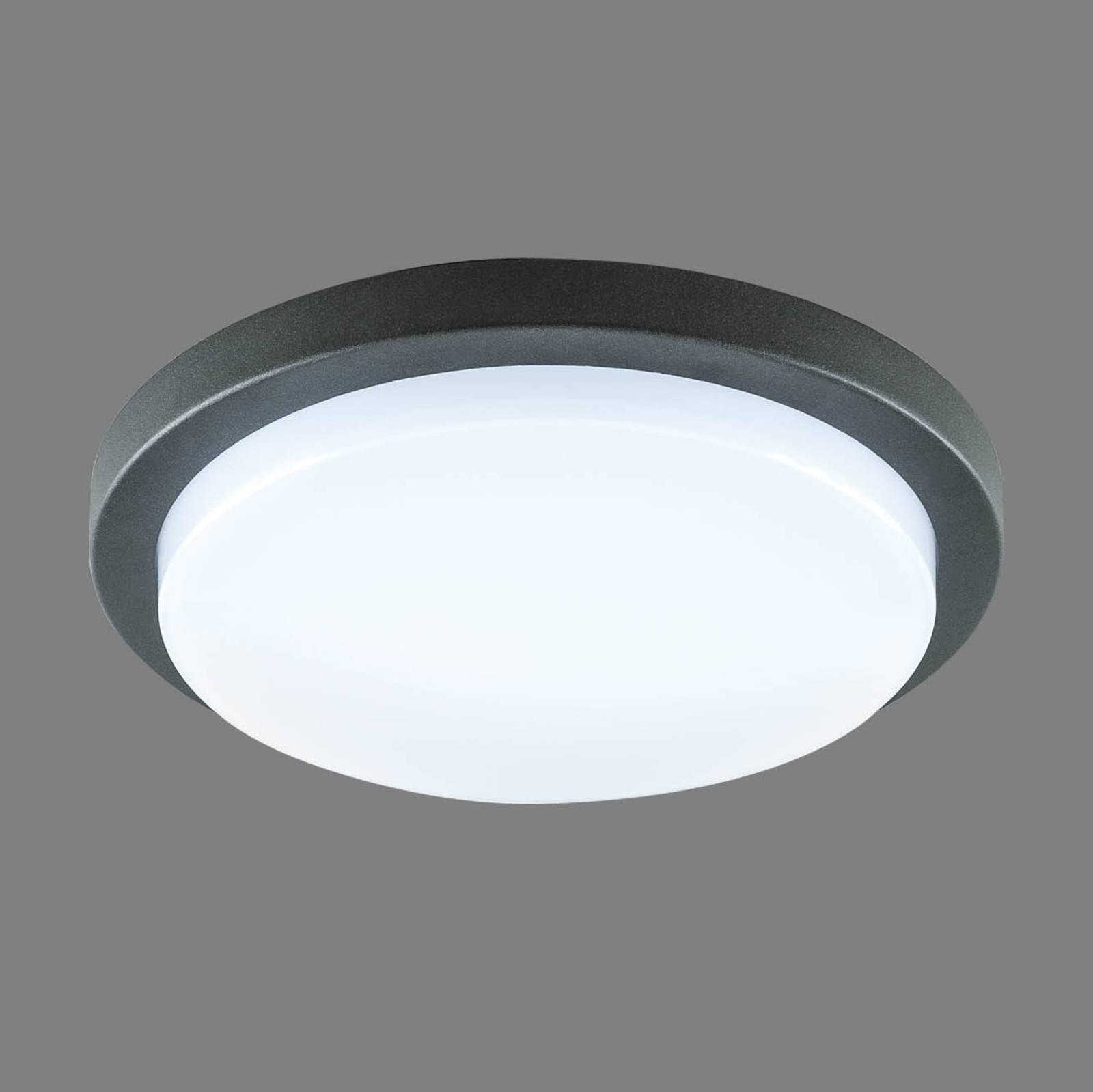 EVN Tectum LED udendørs loftlampe rund Ø 24,6 cm