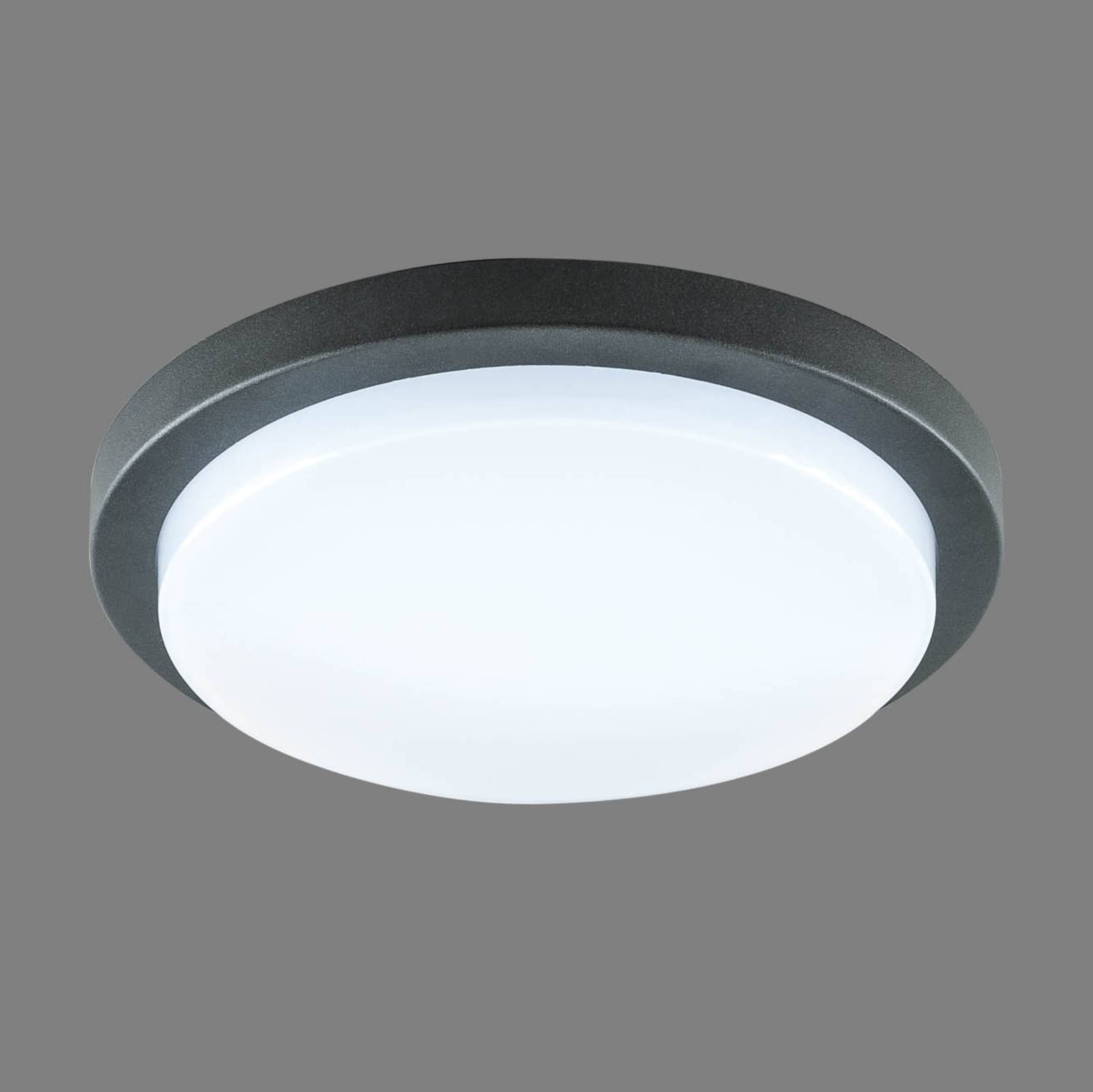 EVN Tectum plafonnier extérieur LED rond, 24,6 cm