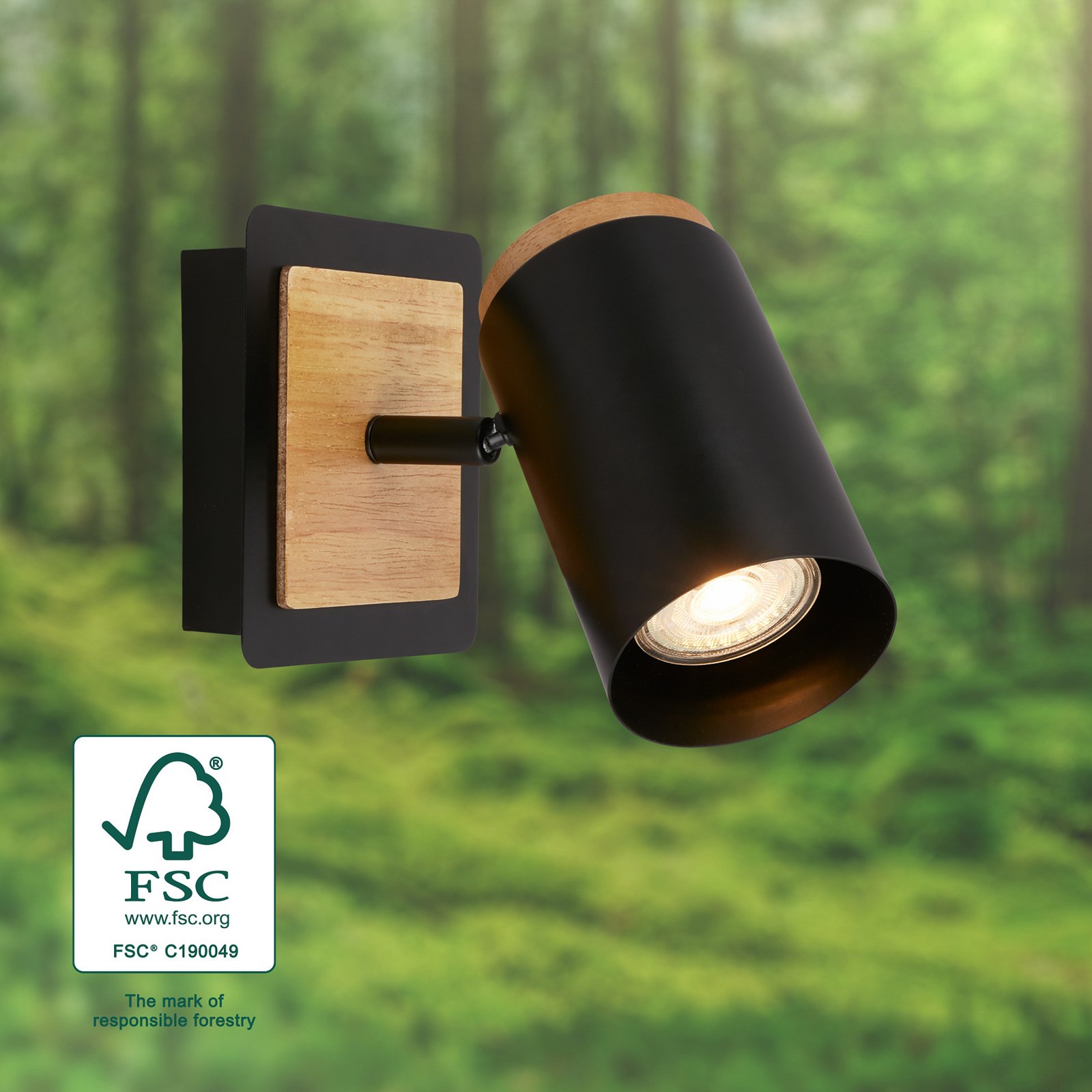 Wandspot Duta, uitsteeklengte 16 cm, zwart/houtkleur, hout