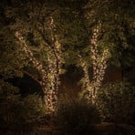Twinkly LED fairy lights RGBW, 250-light 20m