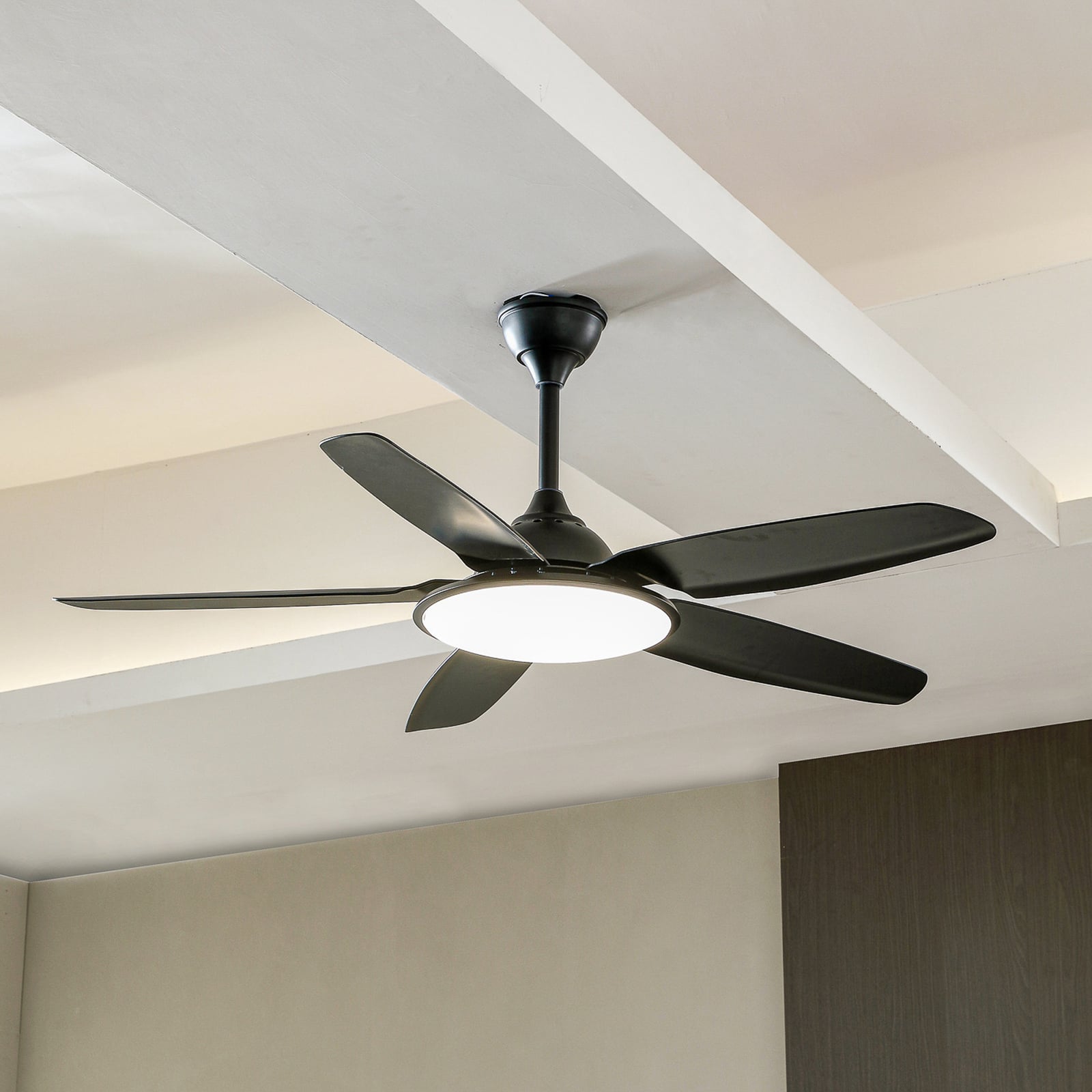 Ventilateur de plafond LED Divian, noir, courant continu, silencieux, CCT -