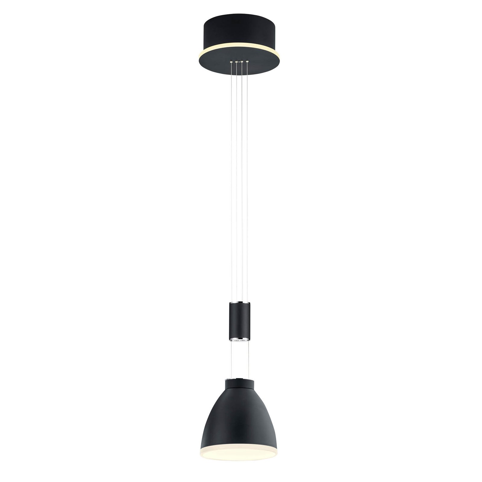 Leni LED pendant light, 1-bulb, black