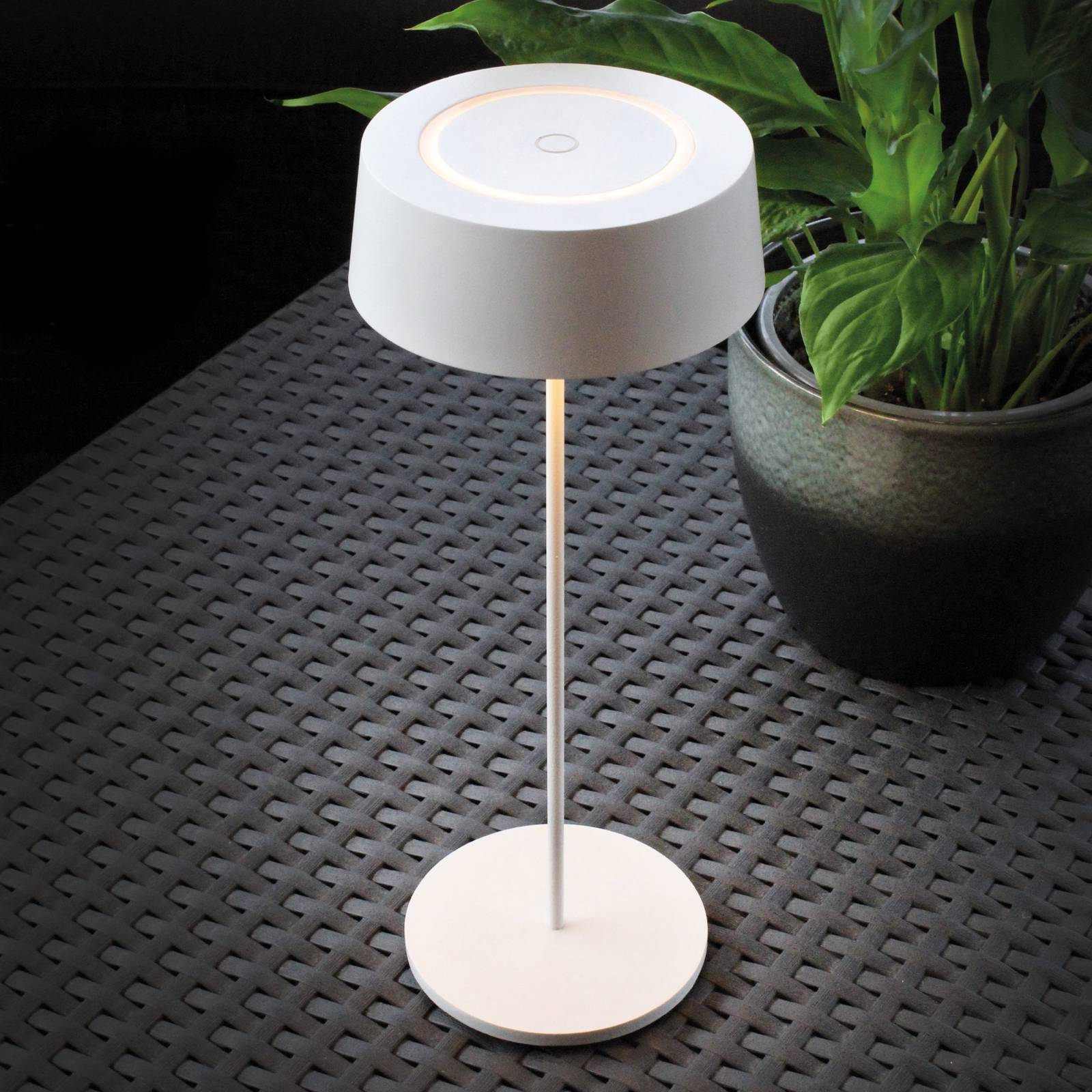 Eco-Light LED stolní lampa Cocktail, na baterii, dim, bílá