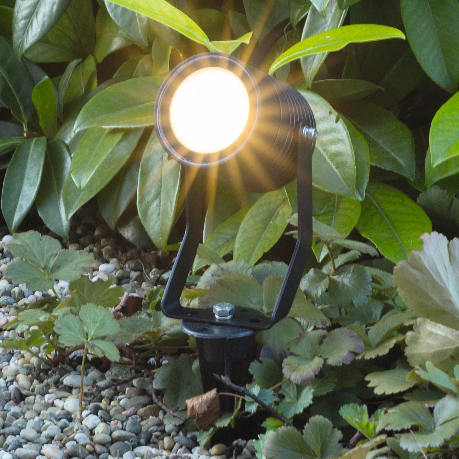 Reflektor z grotem ziemnym LED Pasas wychylny