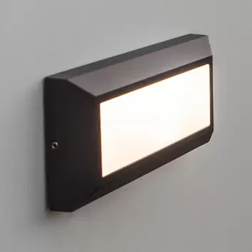 Glynn LED-Außenwandlampe AEG