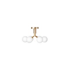 Apiales 6 Candeeiro de Tecto Brushed Brass/Opal - Nuura