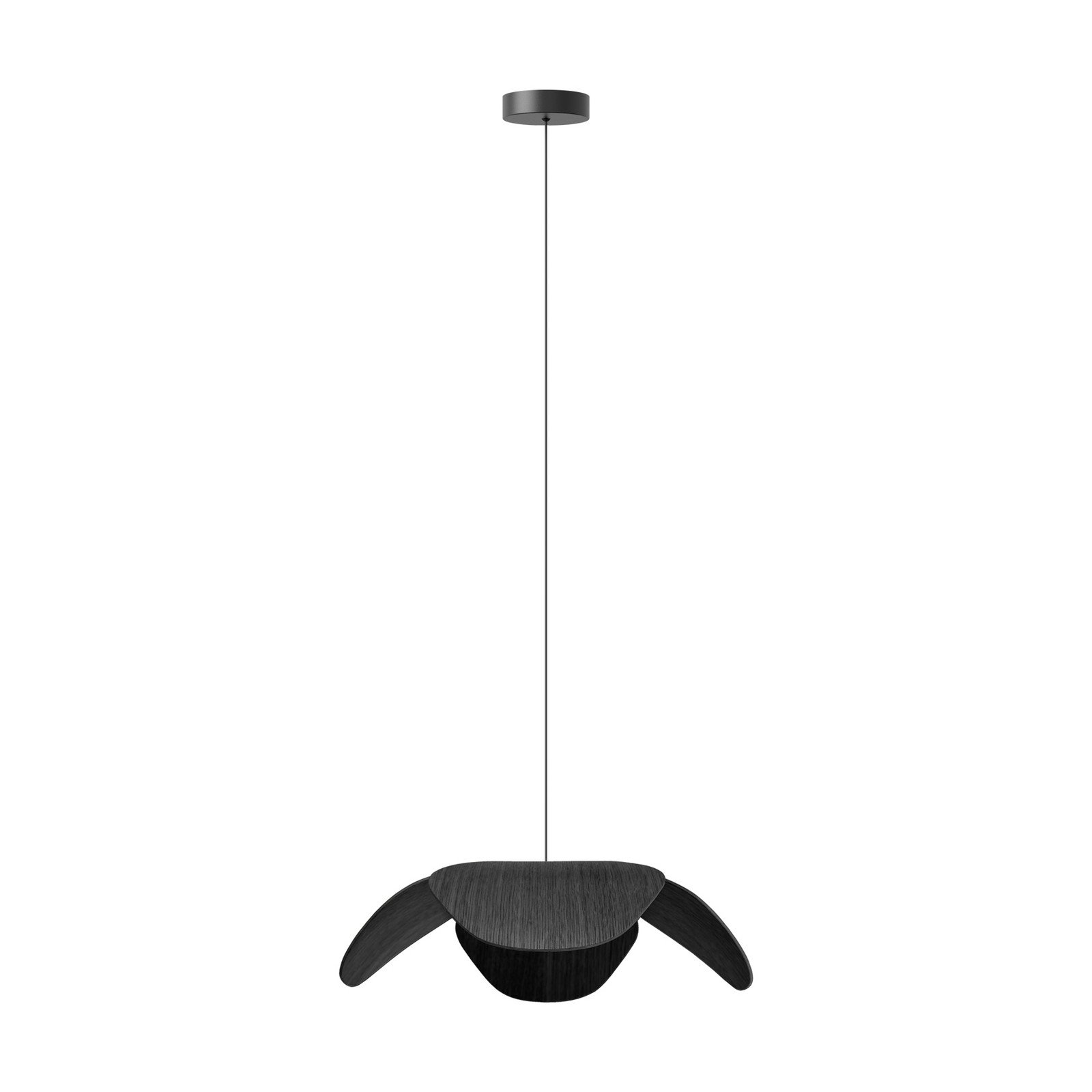 UMAGE Forget Me Not pendul mare 1 bec stejar negru - Camera de zi / sufragerie - Design - stejar negru alb - Lemn