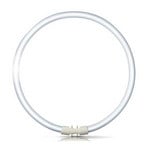 2GX13 60W 840 fluorescent ring Master TL5