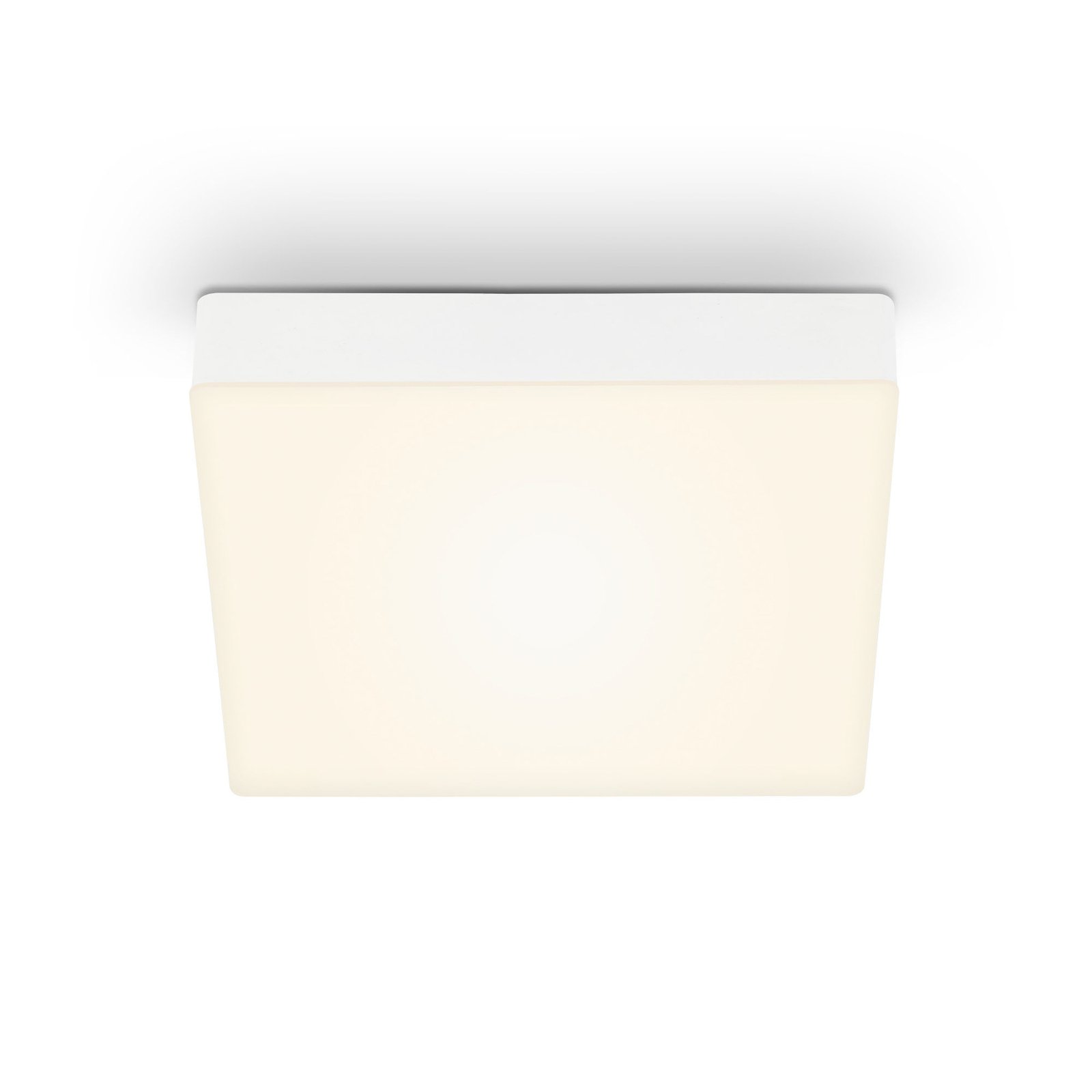 Stropné svietidlo Flame LED, 21,2 x 21,2 cm, biele