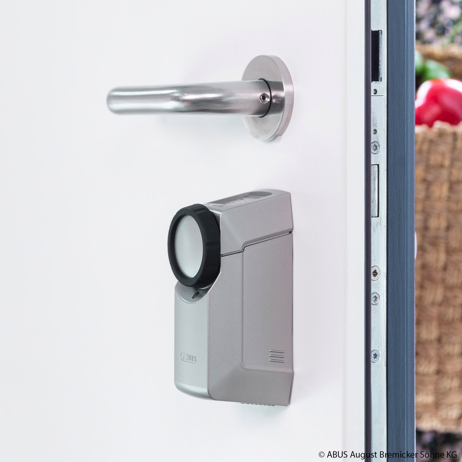 ABUS HomeTec Pro napęd zamka drzwi Bluetooth szary