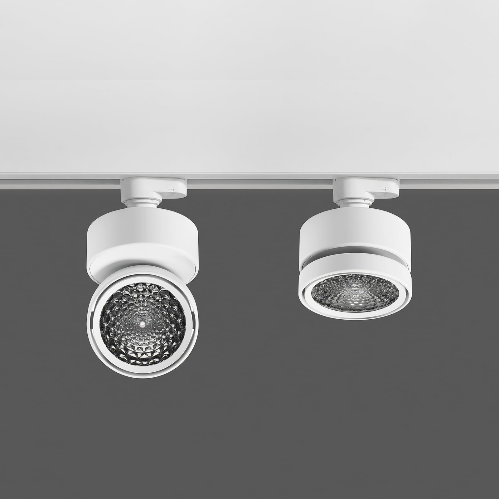 Adaptateur pour rail Nivo, blanc, triphasé, en métal - Sigor