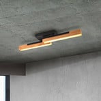 Kerala LED ceiling light with switch dimmer