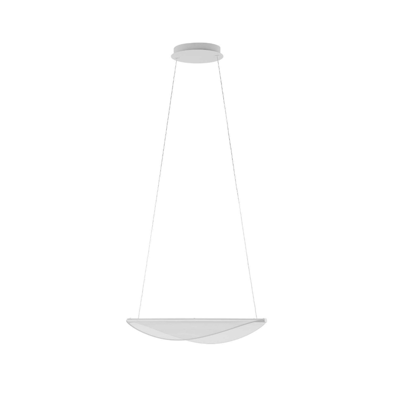Lampada LED a sospensione Diphy, 54 cm, 1 luce, DALI-Push - Stilnovo