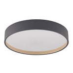 Todor Lámpara de Techo Grey - Lindby