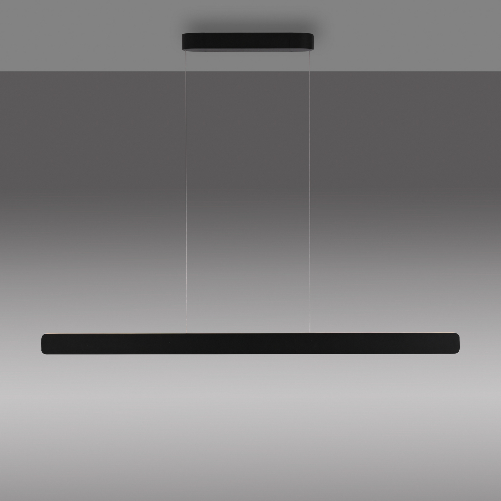Lámpara colgante LED Q-Stretto de Paul Neuhaus, negra, 120 cm