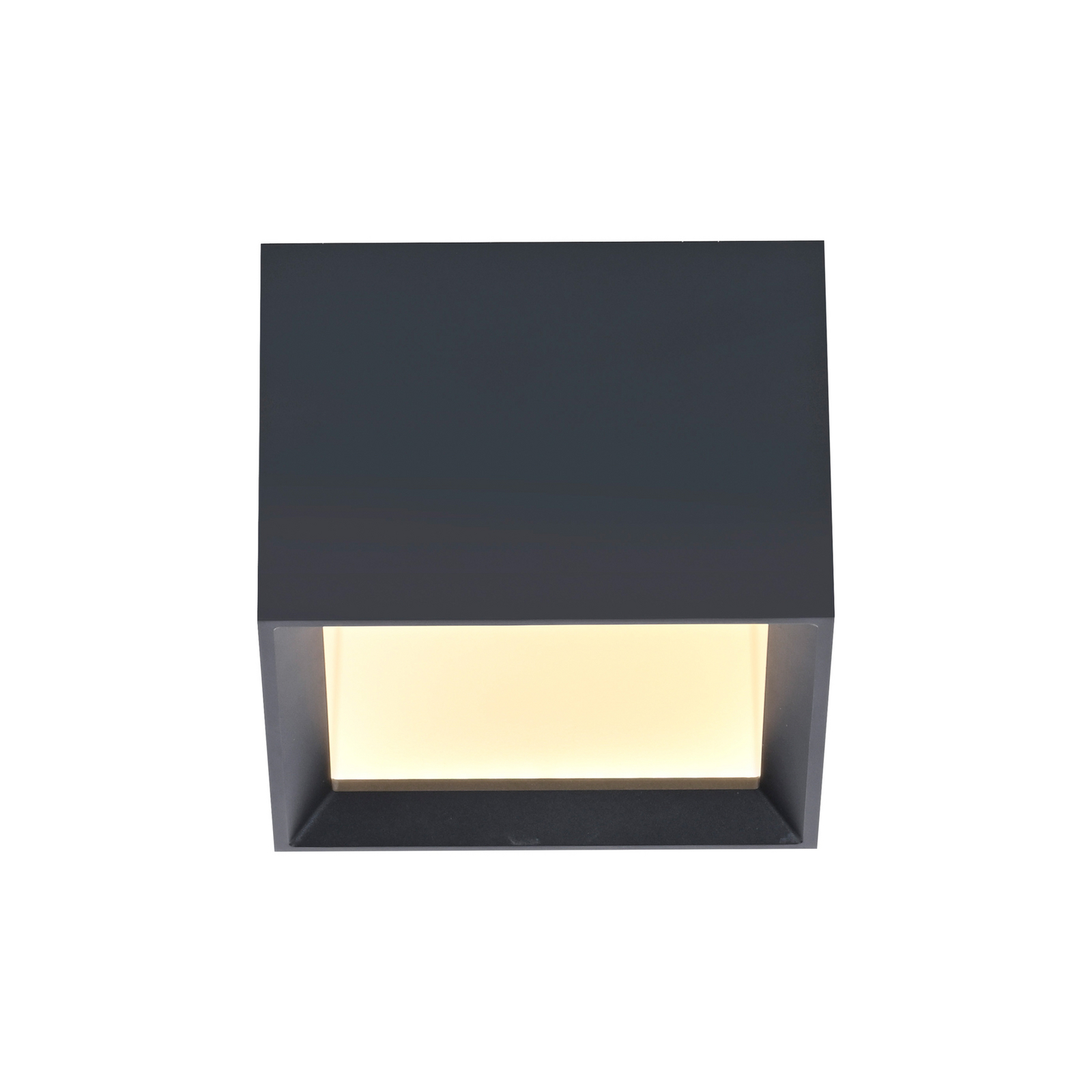 LED-stropna svetilka PURE Manhatten, mystic grey, 1-žarilna, CCT