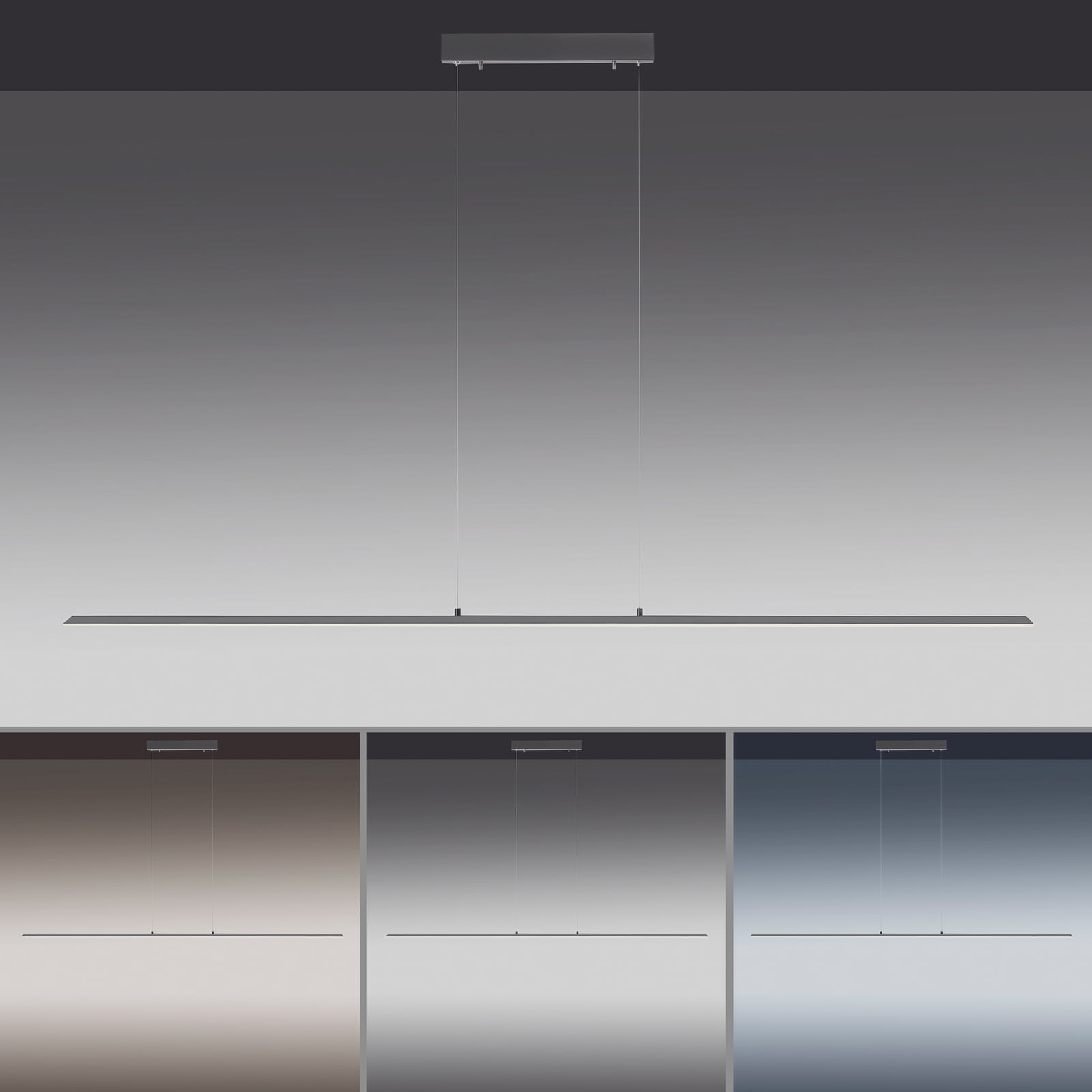Lite LED-Hängeleuchte, graphite, 160 cm, CCT, dimmbar - PURE Lite LED-Hängeleuchte, graphite, 160 cm, CCT, dimmbar - PURE