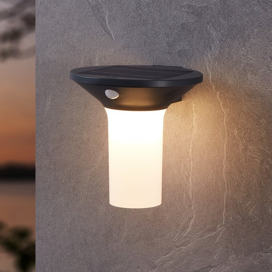LED-Solar-Außenwandleuchte Corbezzola, schwarz, Sensor