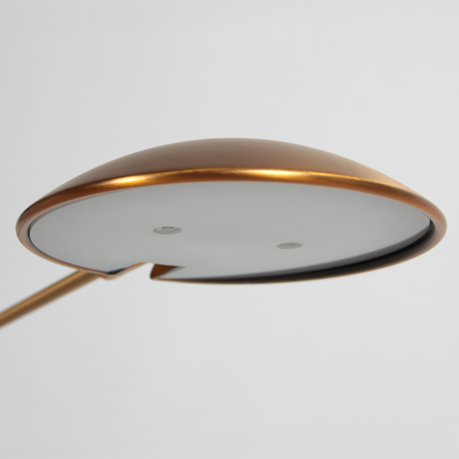 LED vloerlamp Daphne 2, 1-lamp, brons, CCT, afstandsbediening