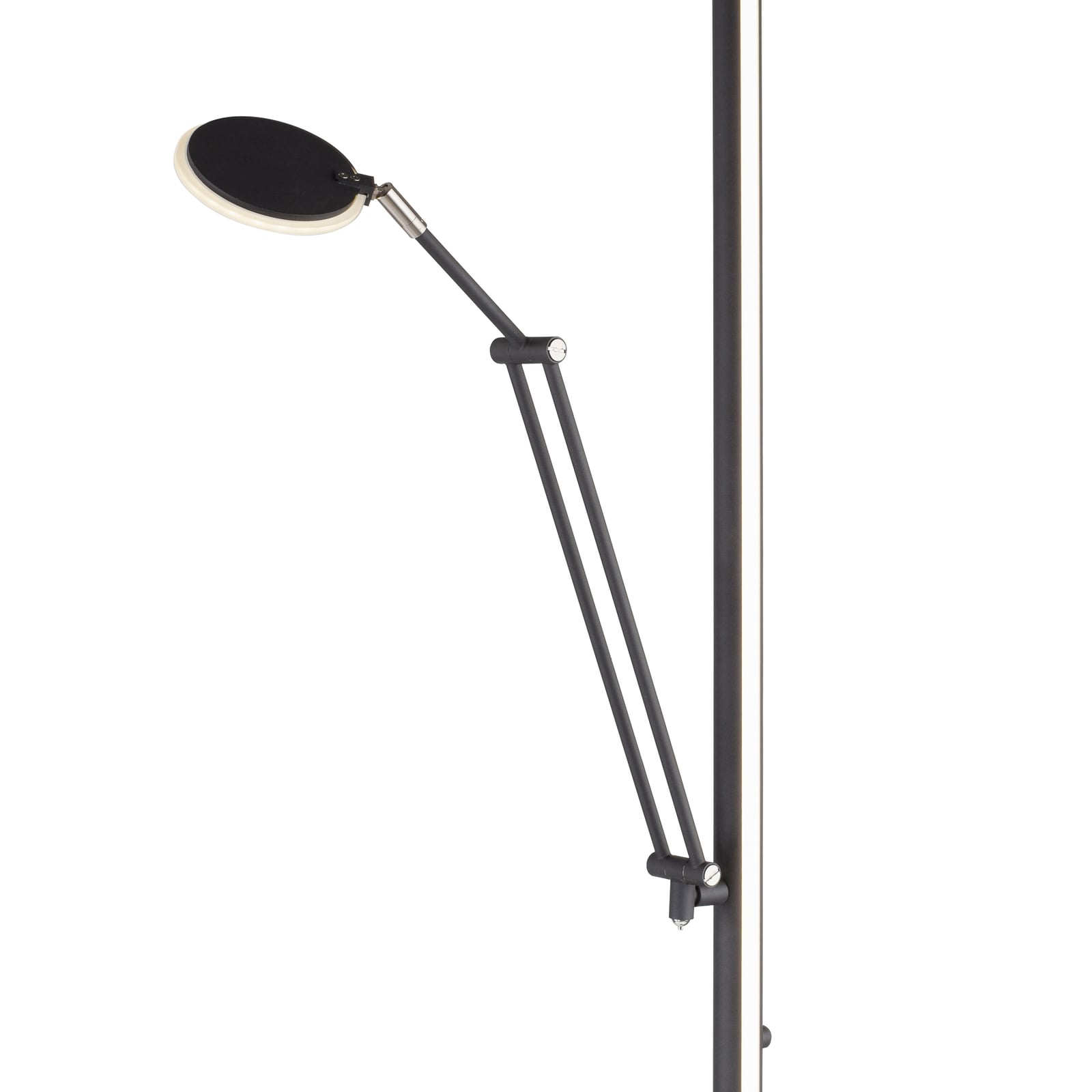 Mutil LED-Stehleuchte, graphite, Leselampe, CCT - PURE Mutil LED-Stehleuchte, graphite, Leselampe, CCT - PURE