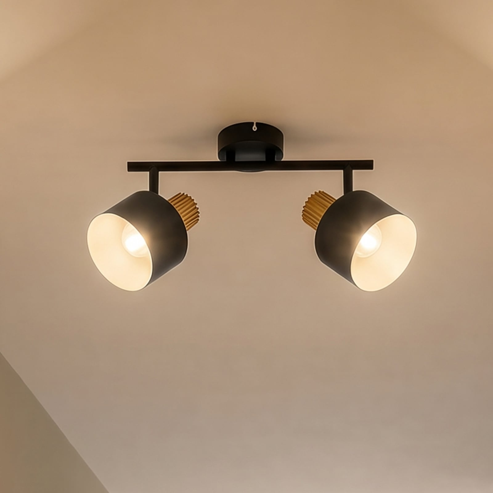 Faretto da soffitto Lindby Lenja, a 2 luci, nero, E14, metallo