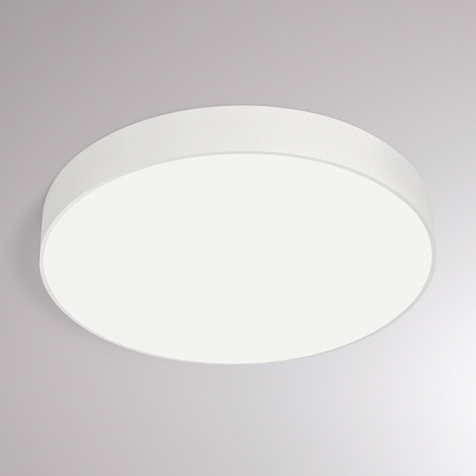 Molto Luce Bado IP54 SD taklampe, Ø 50 cm, hvit