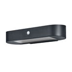 LEDVANCE Endura Style Solar Oval sensor wall lamp