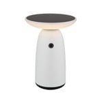 Lampe de table LED solaire 36625, blanc, métal, 23 cm, à intensité variable