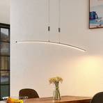 Lindby Phillie LED hanging light height-adjustable