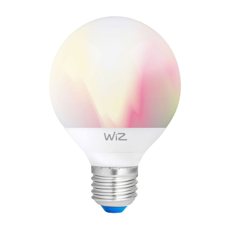 WiZ E27 LED-Lampe Globe G95 matt 12W RGBW