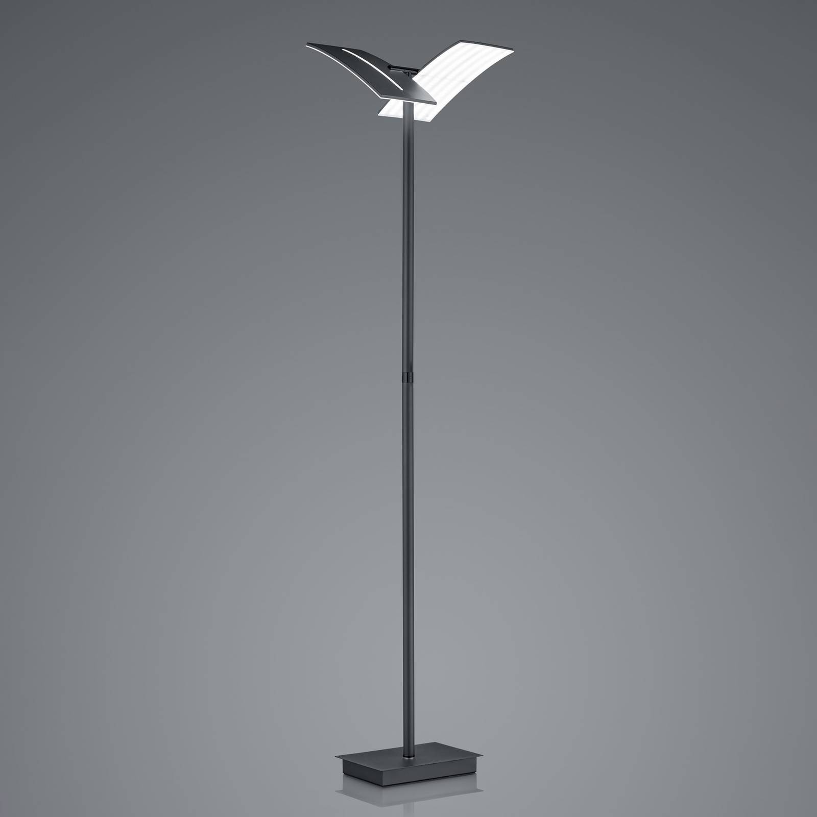 HELL LED stojací lampa Dual CCT, stmívatelná, černá